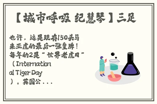 java强行videos另类