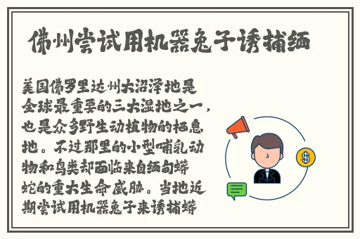 同城一夜i情交友qq